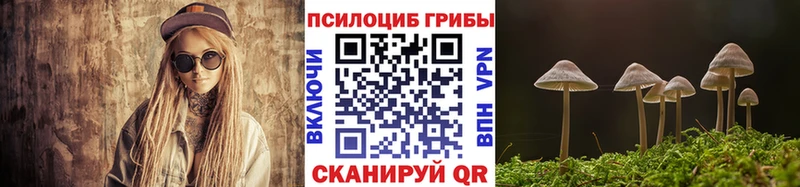 наркота Невьянск Псилоцибиновые грибы мицелий